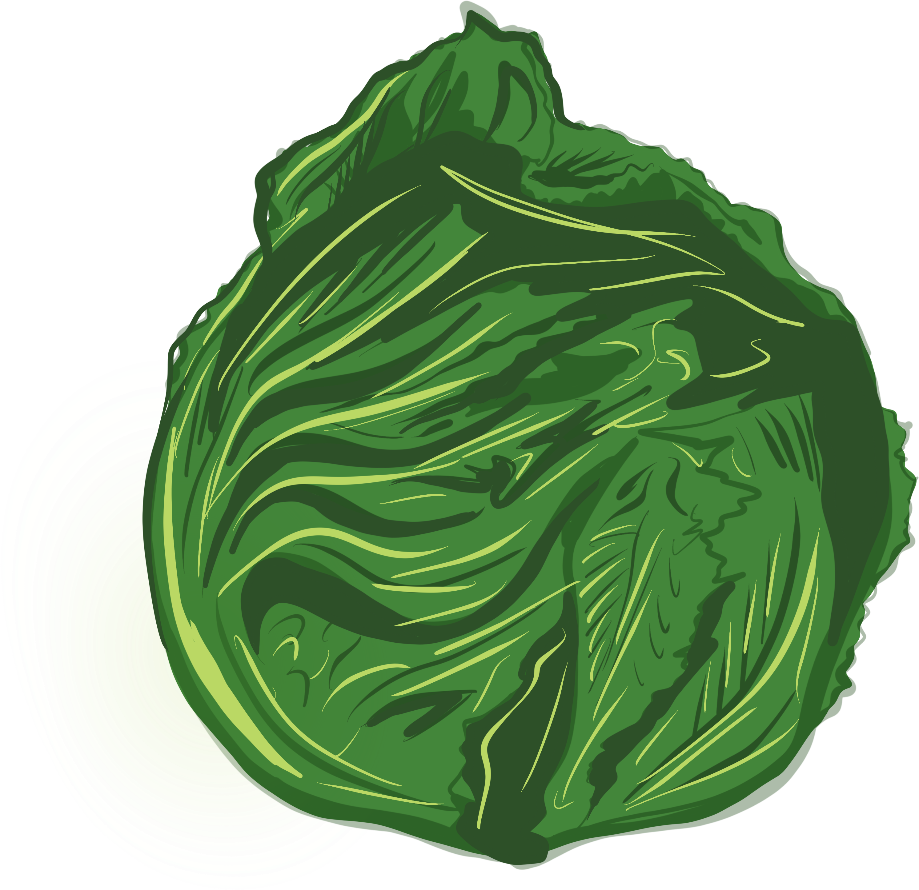 Img - Collard Greens (4961x3507)