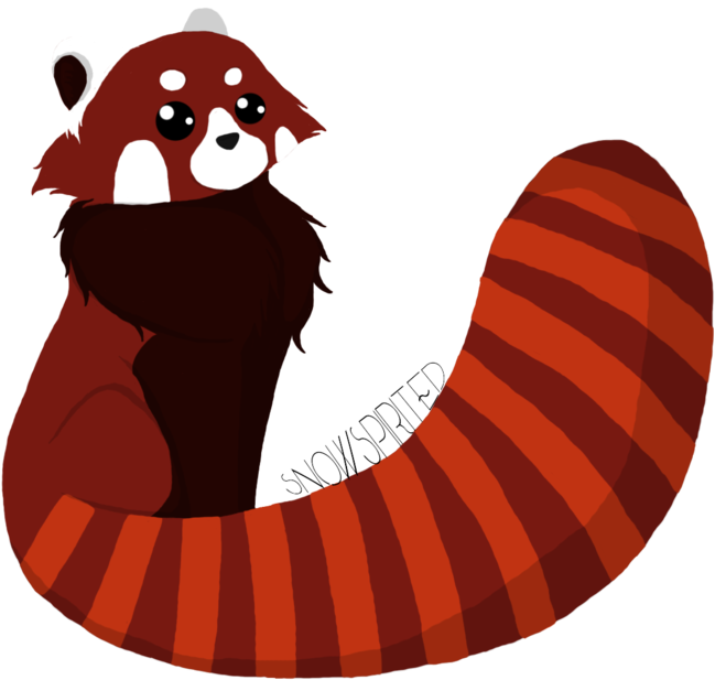 Chibi Red Panda By Snowspirited - Illustration (1095x730)