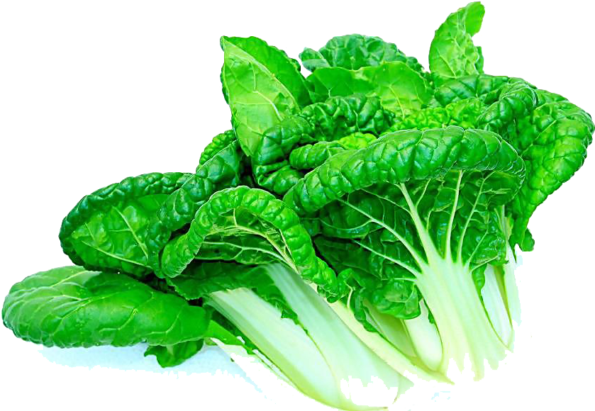 Romaine Lettuce Leftovers Vegetable Wok Home Appliance - Romaine Lettuce Leftovers Vegetable Wok Home Appliance (1024x625)