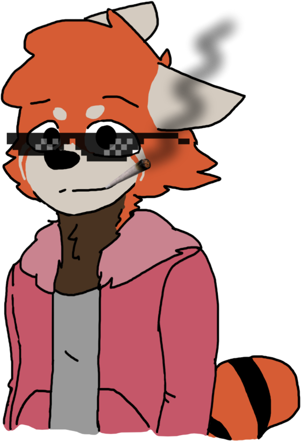 Joey The Dope Red Panda By Joeyredpanda - Red Panda (797x1003)