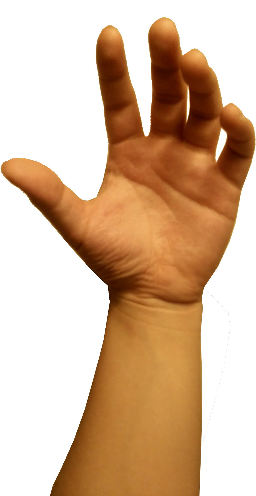 It Is Just One Of The Many Organs That Allow Us To - Sign (1090x1920)