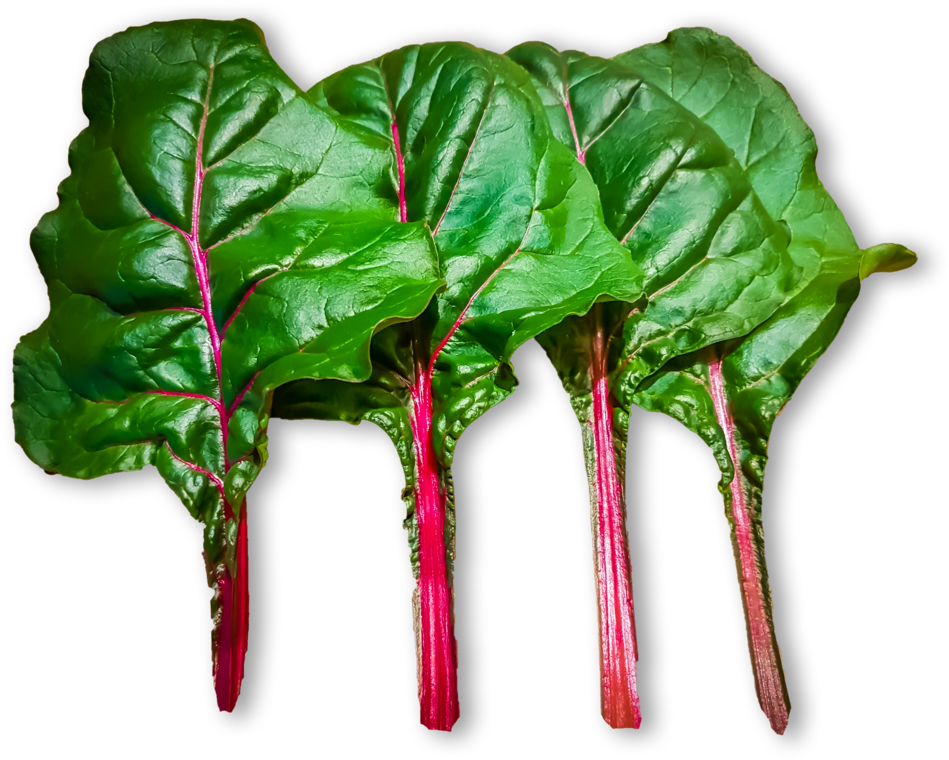 Everything You See On This Website Was Grown Using - Beet Greens (1023x833)