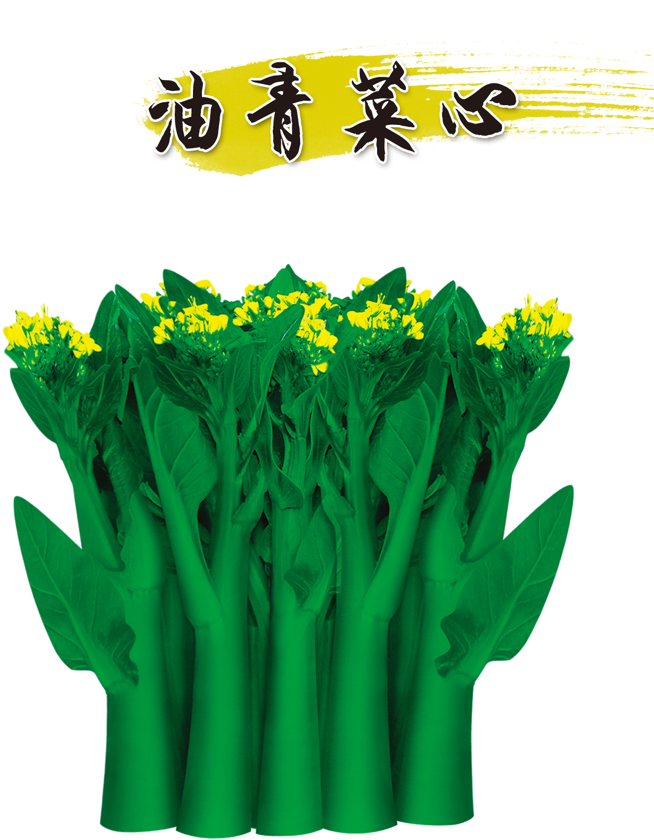 Choy Sum Taobao Vegetable Seed Tmall - Choy Sum Taobao Vegetable Seed Tmall (1465x2150)
