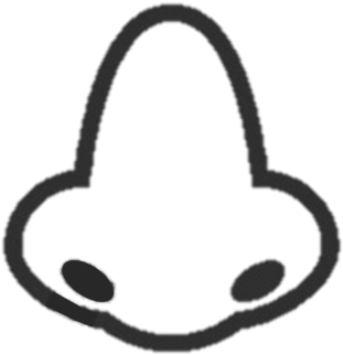 Sense Of Touch Place Objects With Various Textures - Line Art (451x480)