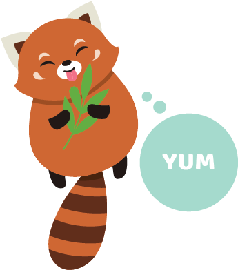 Red Panda Sticker Pack Messages Sticker-2 - Cartoon (408x408)