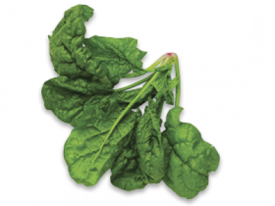 Spinach Top View Png (400x300)