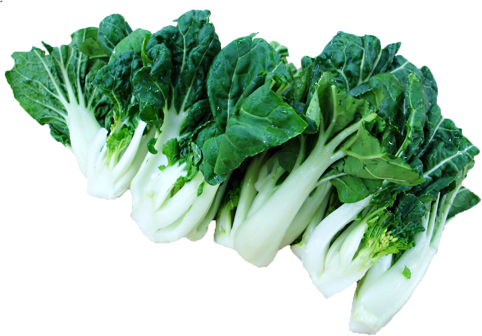 Bok Choy Napa Cabbage Chinese Cabbage Vegetable - Bok Choy Napa Cabbage Chinese Cabbage Vegetable (1024x768)