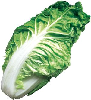 New Aroma No - Cabbage (360x360)
