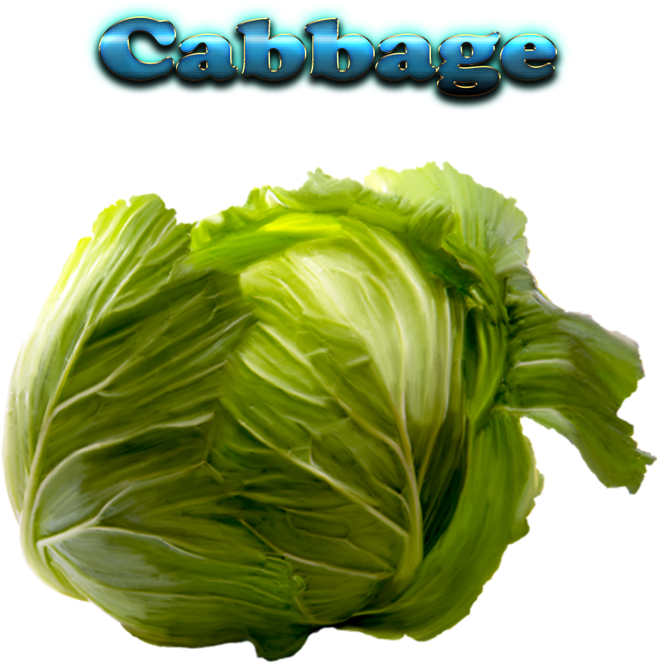Cabbage Free Download Png - Portable Network Graphics (1920x1200)