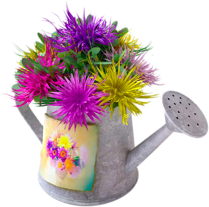 Flower Kettle Petal Stock - Flower Kettle Petal Stock (1000x829)