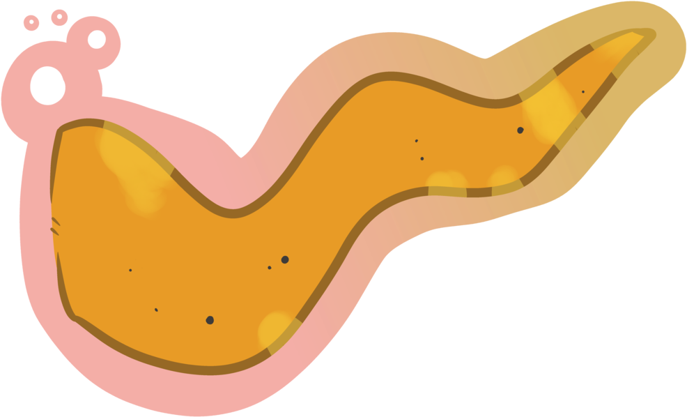 Dat Snek Booty - Dat Snek Booty (1023x776)