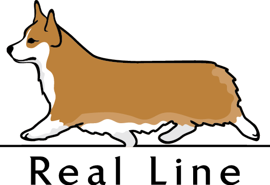 - - Real Line - - - Pembroke Welsh Corgi (527x362)