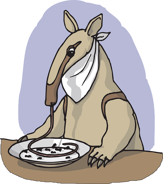 Plate, Table, From, Anteater, Eating, Animal, Eat - Anteater Eating Ants Gif (569x640)
