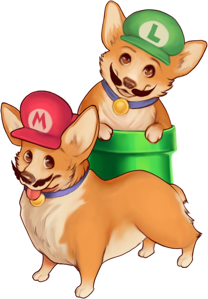 Pembroke Welsh Corgi (711x1024)