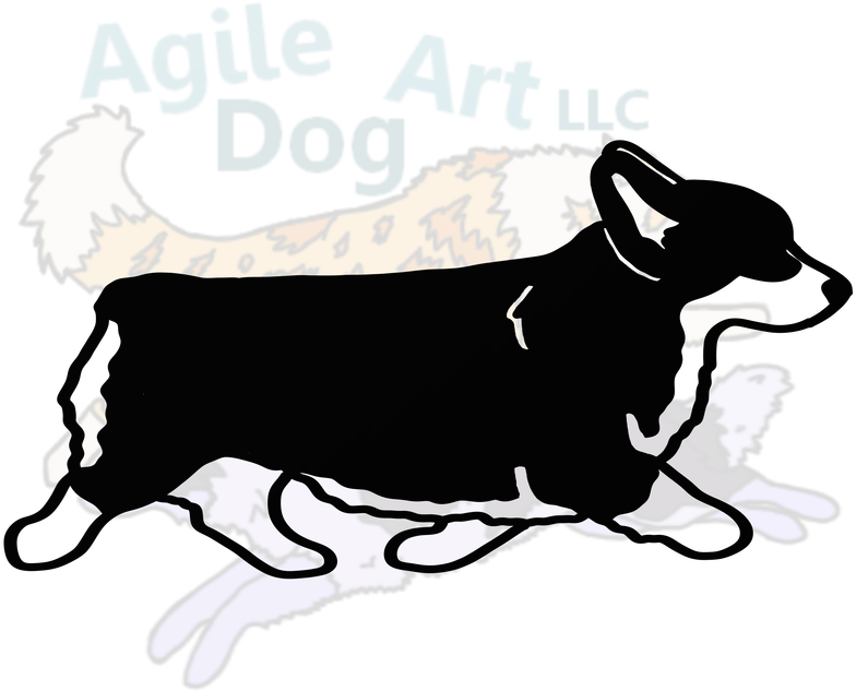 Pembroke Welsh Corgi Gaiting - Chihuahua (800x800)