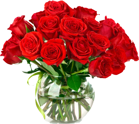 Rose Flower Love Stock - Rose Flower Love Stock (650x587)