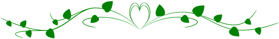 Paradise Border Cliparts 2, Buy Clip Art - Portable Network Graphics (960x480)