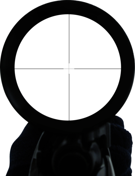 Sniper Scope And Hand - Sniper Scope Png (460x600)