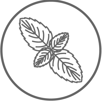 Natural Mint Leaves Help Fight Bad Breath - Snowflake (417x417)