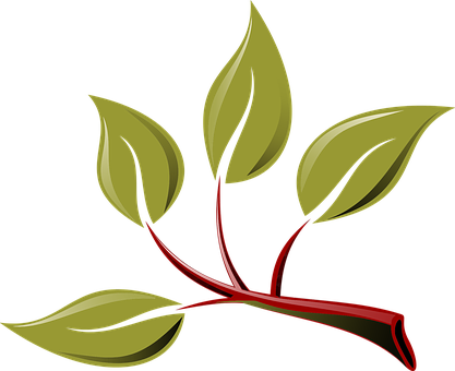 Branch Eco Green Leaf Leaves Plant Tree Br - Branch With Leaves Clipart (417x340)