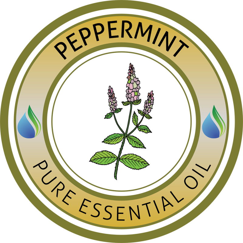 Peppermint Essential Oil - Essential Oil (800x800)