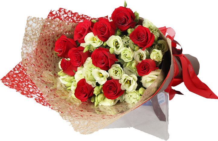 Zhengzhou Garden Roses Beach Rose White Flower - Zhengzhou Garden Roses Beach Rose White Flower (722x467)