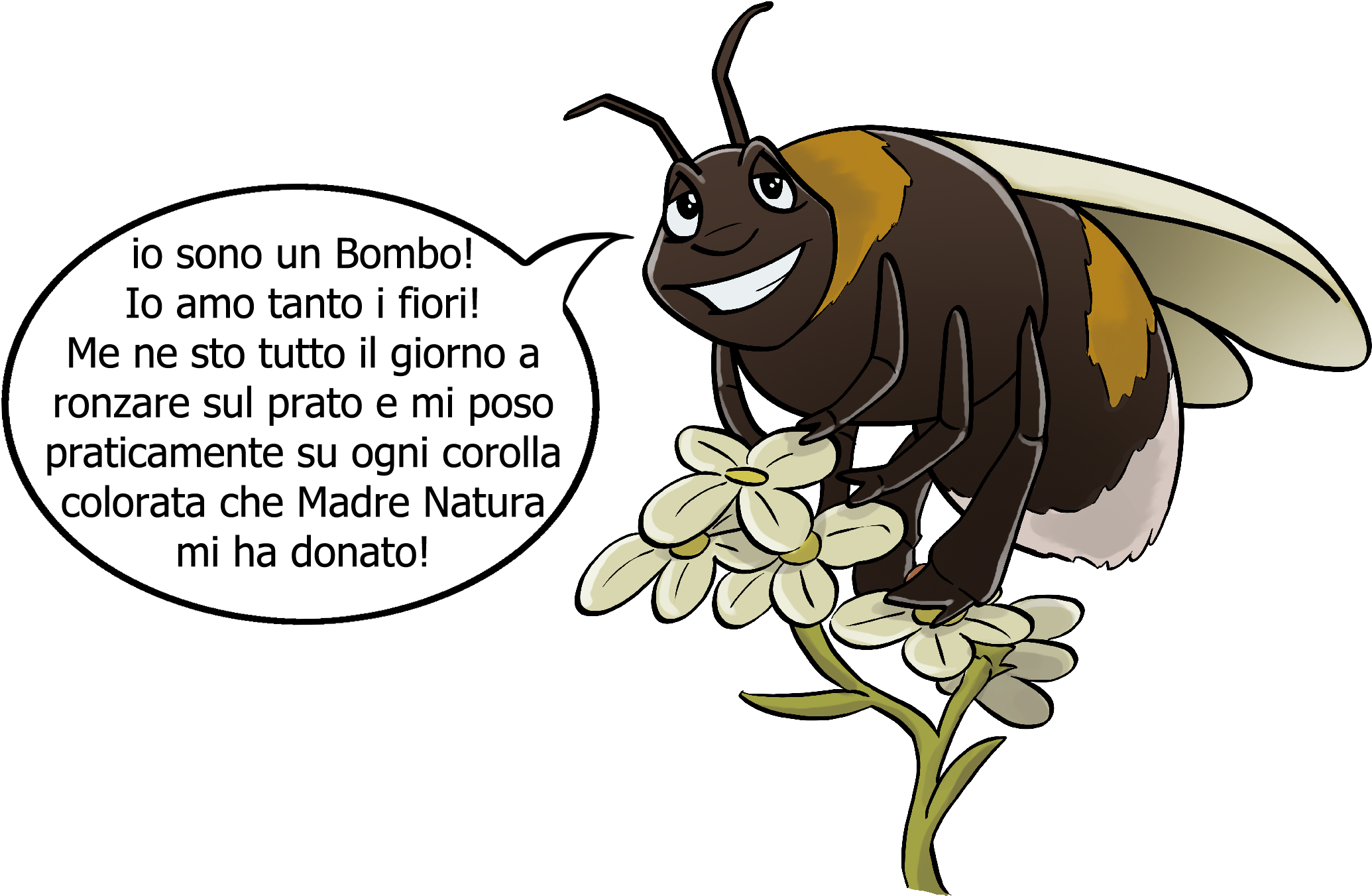 Zzzzz Ciao Piacere, Io Sono Un Bombo Beh Si, Somiglio - Cartoon (2106x1376)