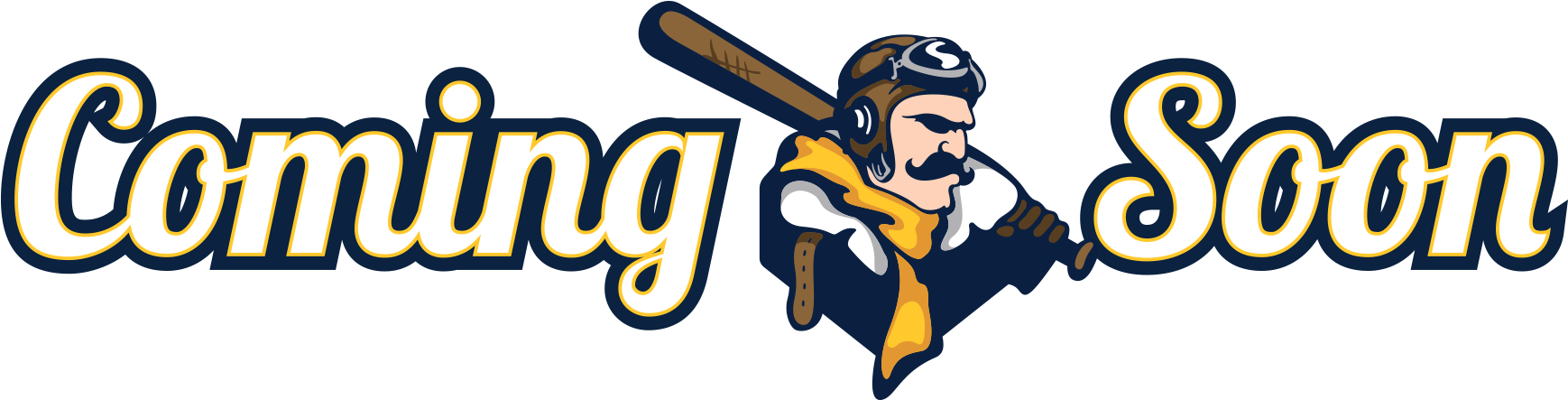 Bachelor And Bachelorette Parties - Lafayette Aviators (2000x488)