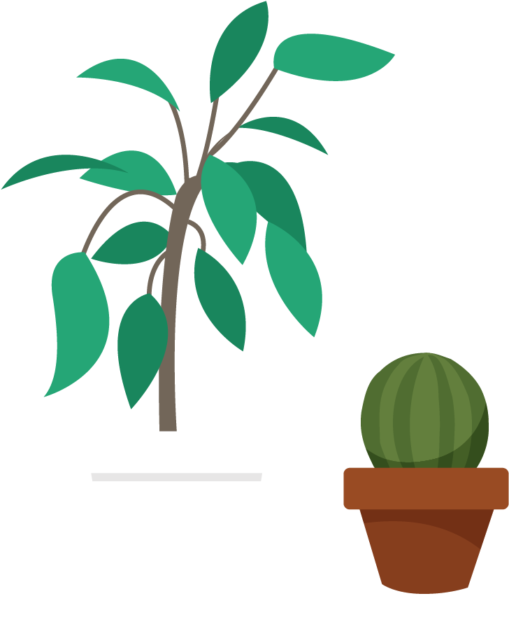 Euclidean Vector Q-net Blog Certification - Language (846x979)