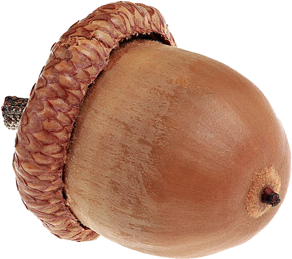 Stock Photography Royalty-free - Stock Photography Royalty-free (600x538)