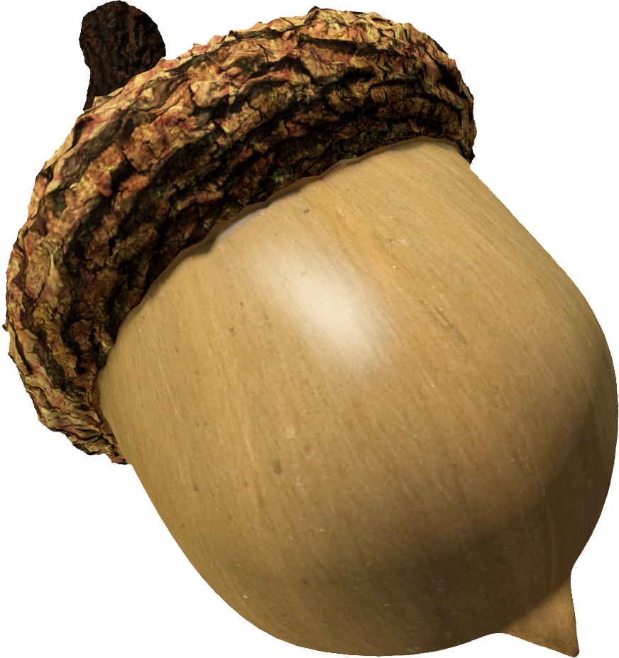 Acorn - Acorn No Background (872x927)