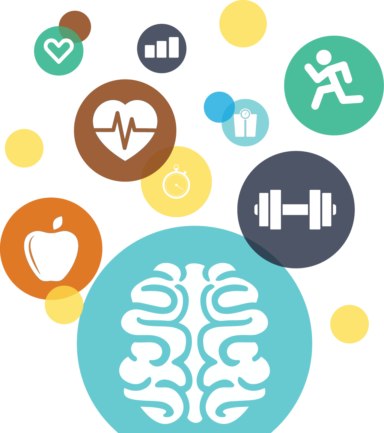 Apple, Diet, Dietry, Health, Nutrition Icon - Personal Training And Nutrition (1281x1445)