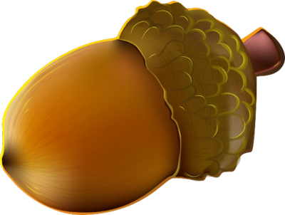 Acorn Psd - Bonbon (400x302)