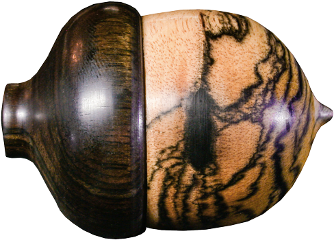 Black & White Ebony Acorn With Asian Ebony Cap - White (500x500)