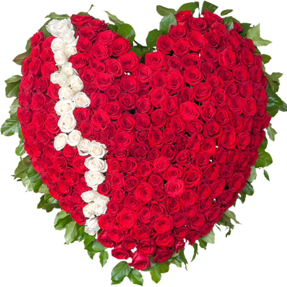 Garden Roses Cut Flowers Funeral Cemetery - Garden Roses Cut Flowers Funeral Cemetery (950x1000)