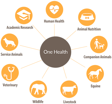 The Voyce Health - Health Technology (474x406)