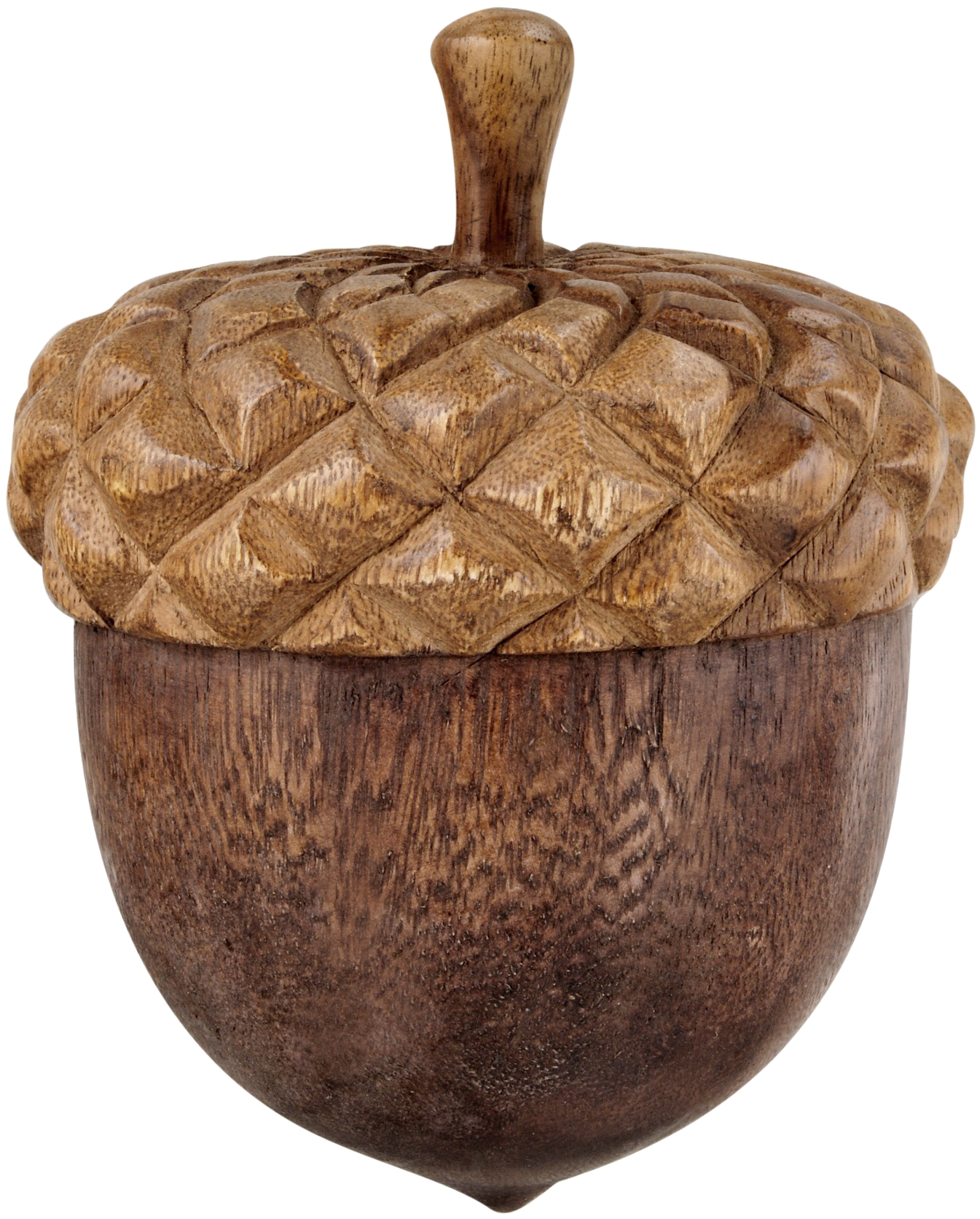 Acorn Png Free Download - Portable Network Graphics (1776x2000)