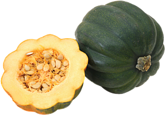 Acorn Squash Png Pic - Png De Frames Transparent Natural (718x418)