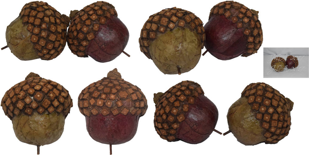 Acorns Png Stock By Mom-espeace - Portable Network Graphics (1024x515)