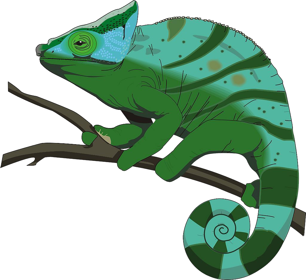 Los Camaleones De Stock - Animated Graphics Chameleon (1024x938)