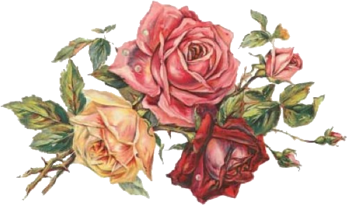757 - Rose Love Vintage Label (500x320)