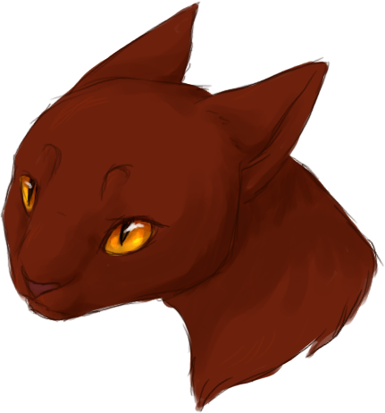 Warriors - Warrior Cats Acorn Fur (431x462)