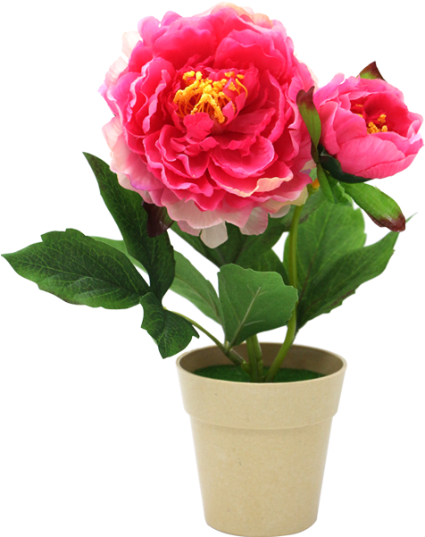 Artificial Flower Peony Cut Flowers Garden Roses - Artificial Flower Peony Cut Flowers Garden Roses (600x600)