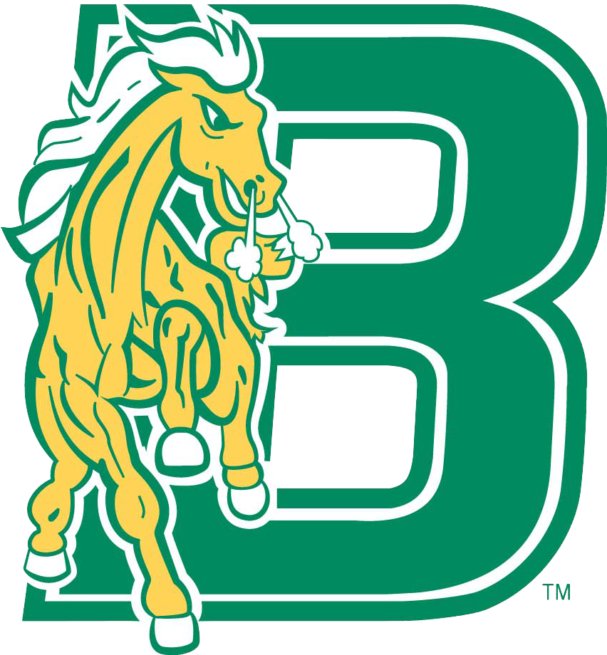 Bronx Community College - Bronx Community College Mascot (919x919)