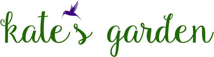 Modern Calligraphy 101 Workshop - Modern Calligraphy 101 Workshop (864x340)