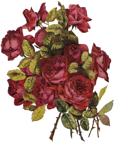 Tubes Victoriens / Fleurs - Images (467x505)