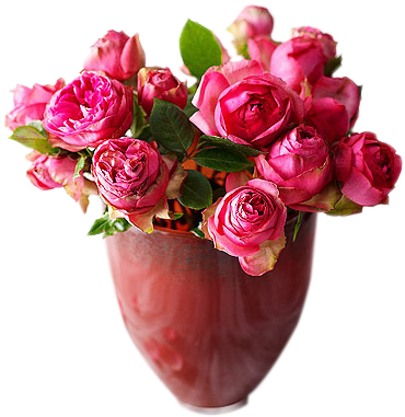 Vase Garden Roses Flower - Vase Garden Roses Flower (451x599)