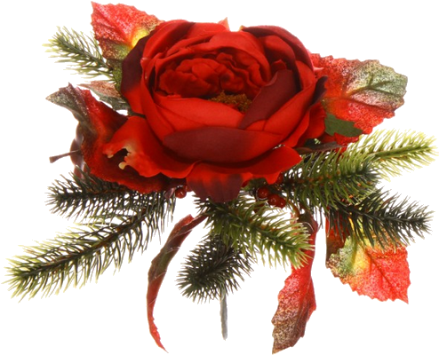 Garden Roses Flower Bouquet Cut Flowers Floral Design - Garden Roses (500x500)