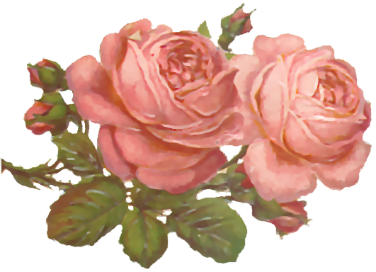 Flores Ilustraciones En Png Para Artesanía Y Diseños - Вышивка Крестом Бесплатные Схемы (531x384)