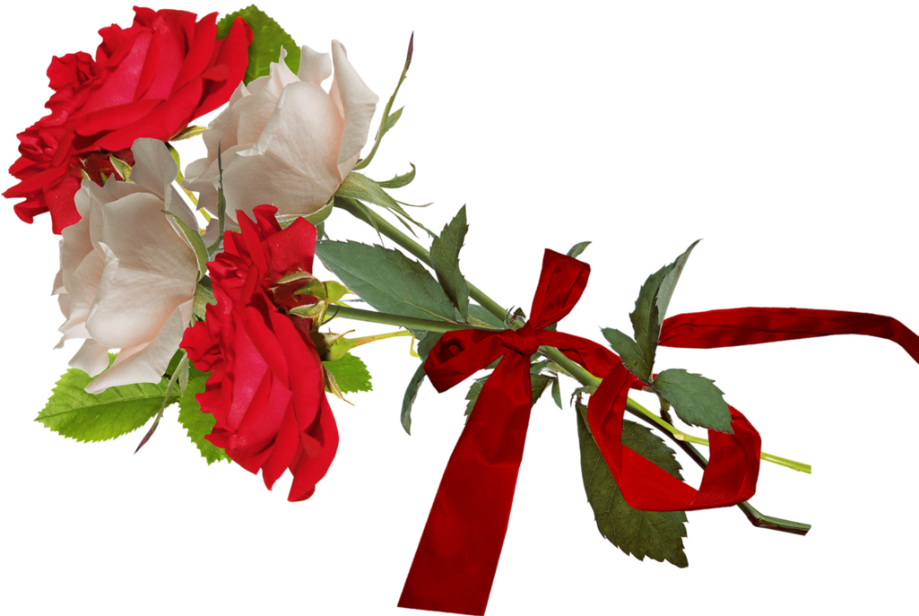 Flower Garden Roses Clip Art - Flower Garden Roses Clip Art (1024x704)